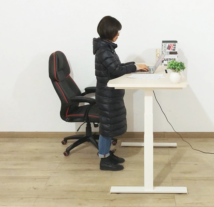 best ergonomic electric standing desk